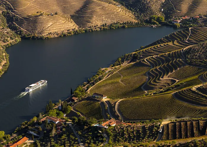 Casa Camelia Acomodação com café da manhã Porto